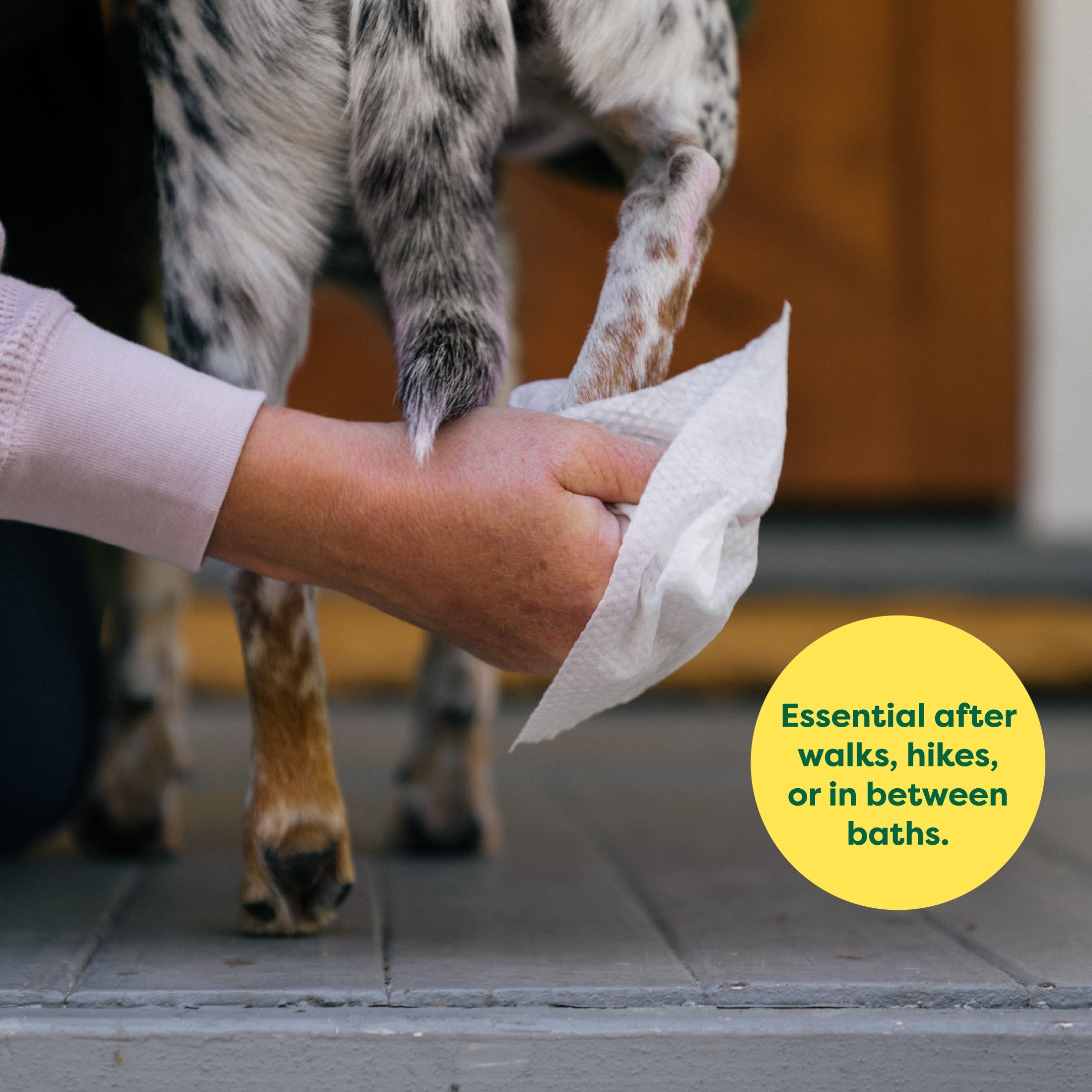 Dog Grooming Wipes - Hypoallergenic Wipes for Paws, Body & Bum | Gentle Daily Cleaning