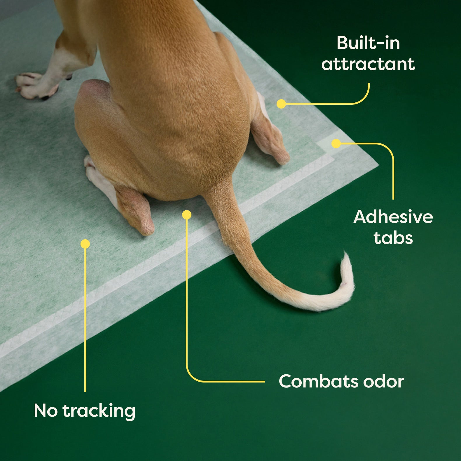 Disposable Dog Pee Pads with AbsorbShield+ Technology