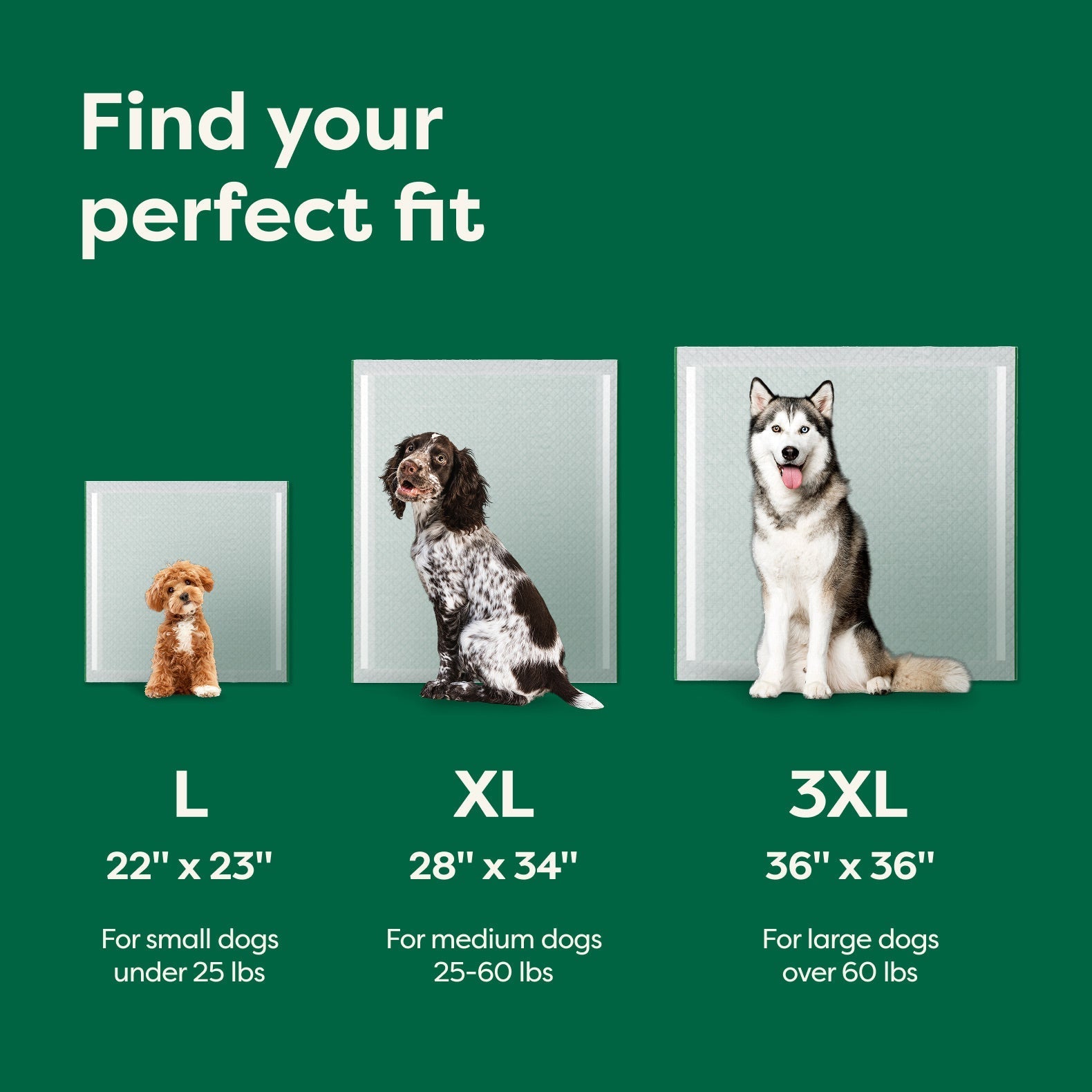 Disposable Dog Pee Pads with AbsorbShield+ Technology